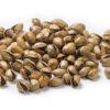Pistache noten, ongepelde, gebrande, ongezouten
